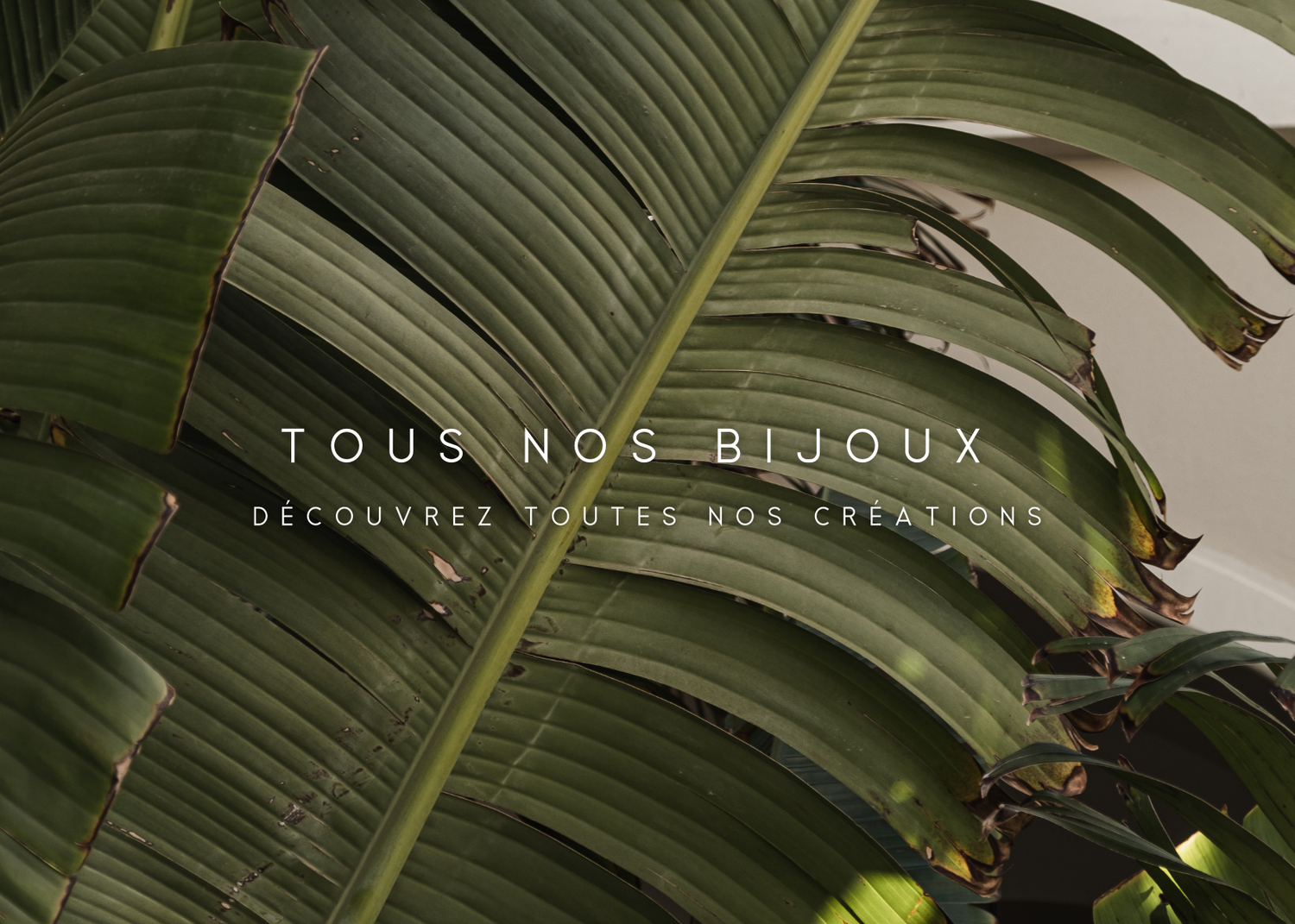 Tous nos bijoux
